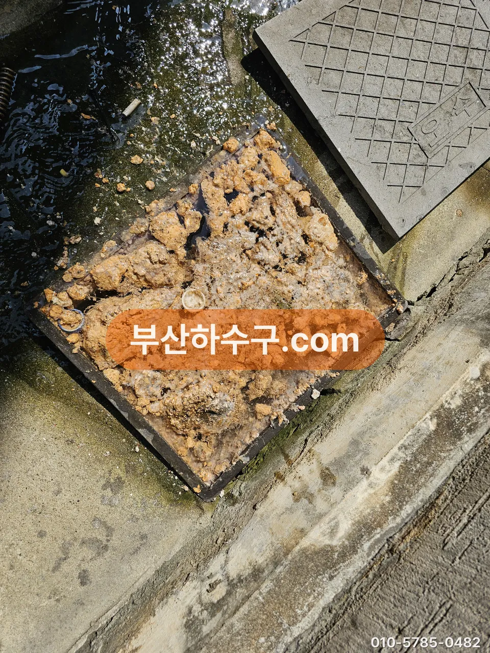 그리스트랩에서 걷어낸 기름 덩어리